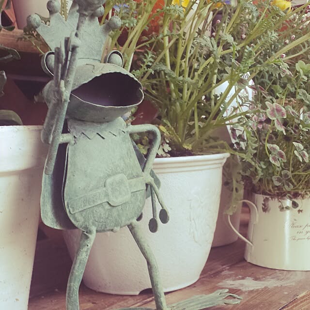 Naomiさんの実例写真