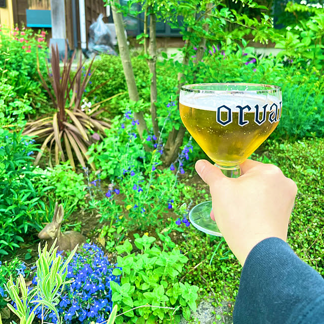 Erikoさんの実例写真