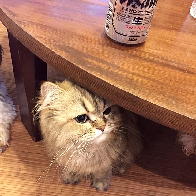 butachanさんの実例写真