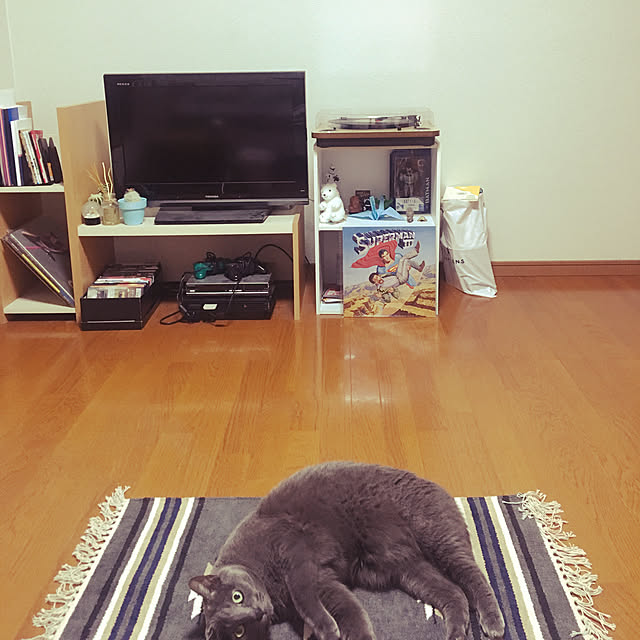 takaさんの実例写真