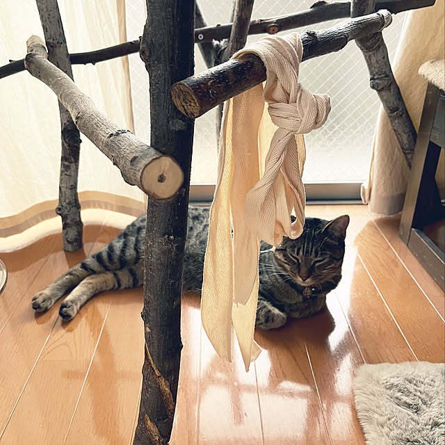 Mさんの実例写真