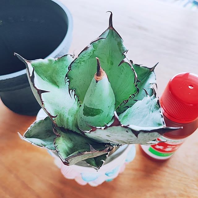 eさんの部屋