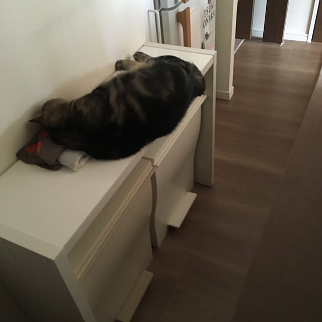 mikomaruさんの実例写真
