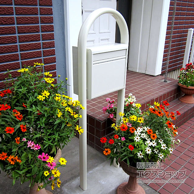 ex-shopさんの部屋