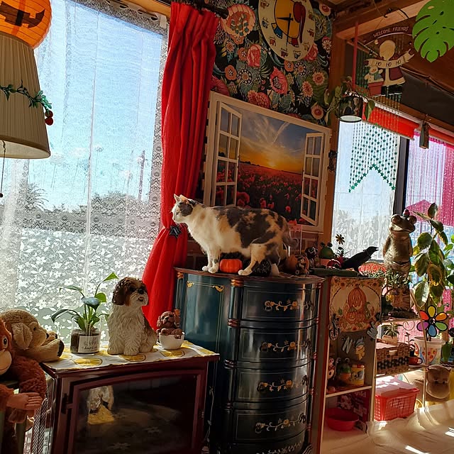 kumutanさんの実例写真