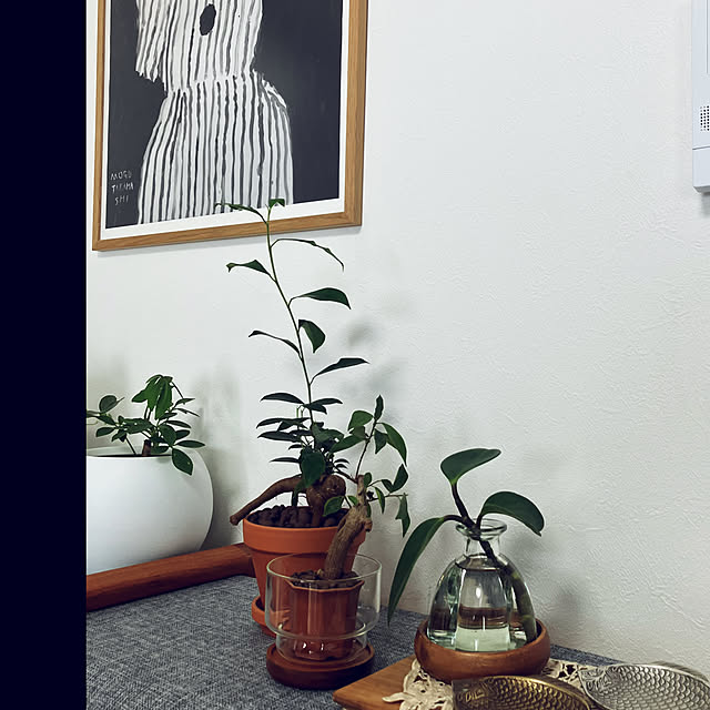 sachicoさんの部屋