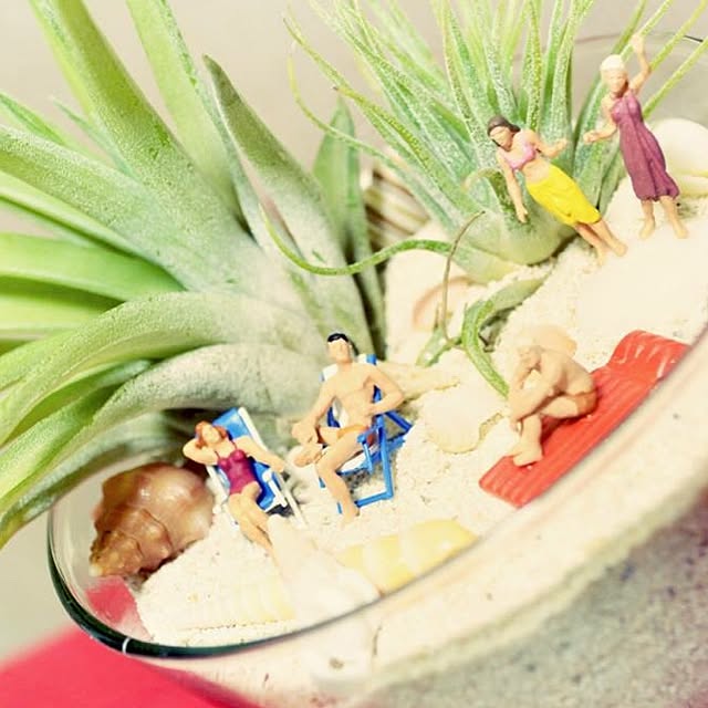 mocoさんの実例写真