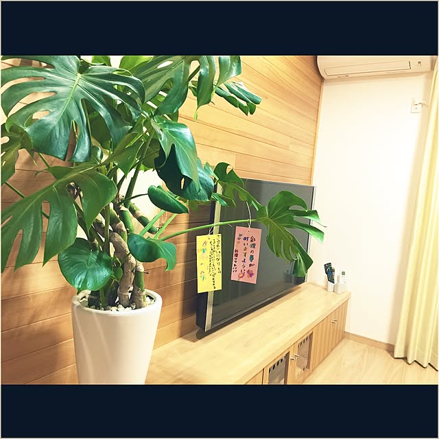 TOMOさんの実例写真