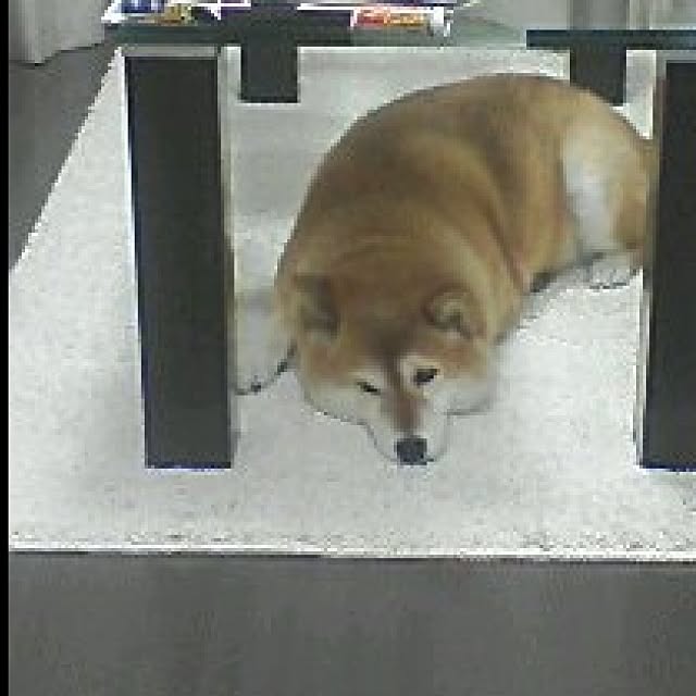 Akikoさんの実例写真