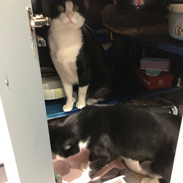 Fujikoさんの部屋