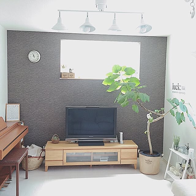 部屋全体/男前/観葉植物/ウンベラータ/男前インテリア　...などのインテリア実例 - 2016-05-21 11:55:39