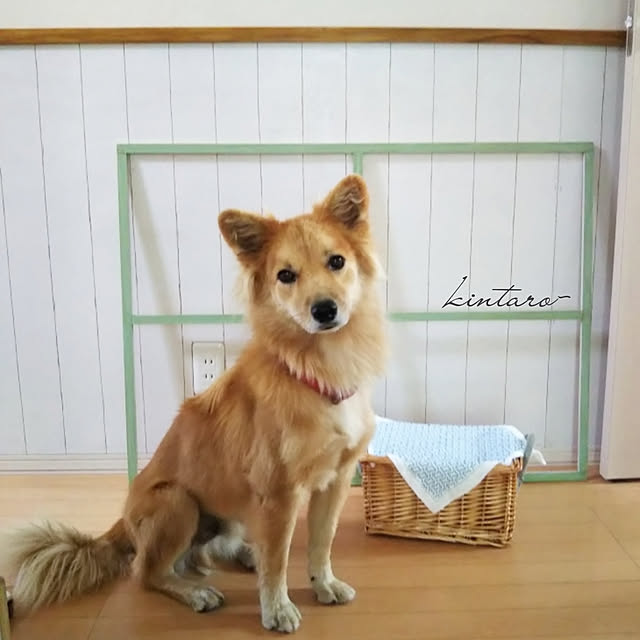 kaoriさんの実例写真