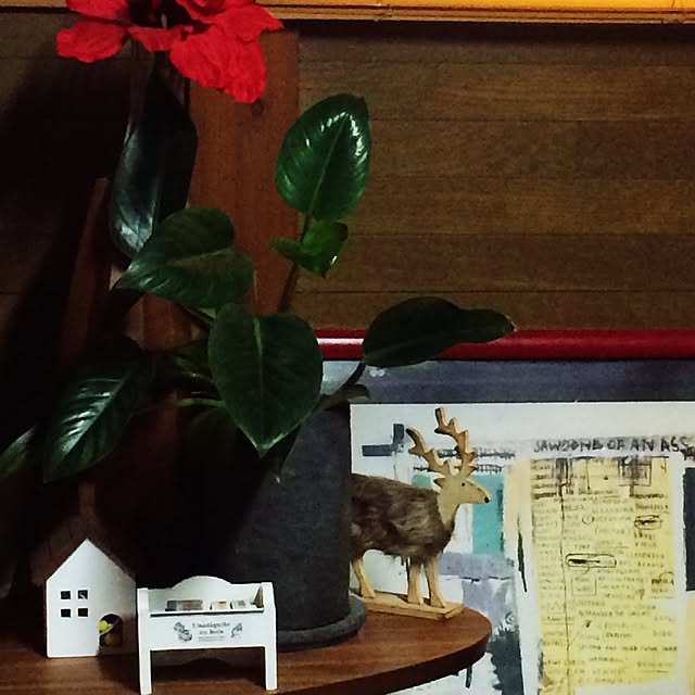 chacoさんの実例写真