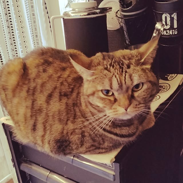 runaさんの部屋