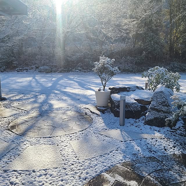 Rubiconさんの実例写真