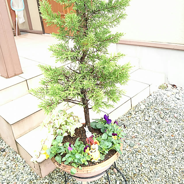 oliveさんの実例写真