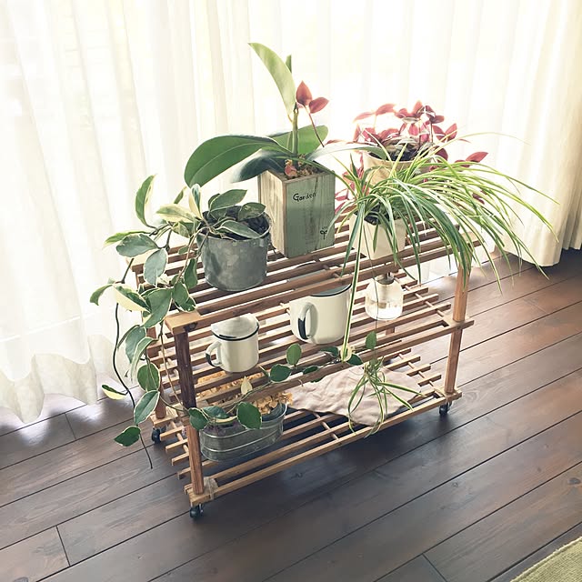 makibonさんの実例写真