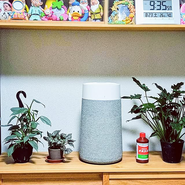 hanachanさんの部屋