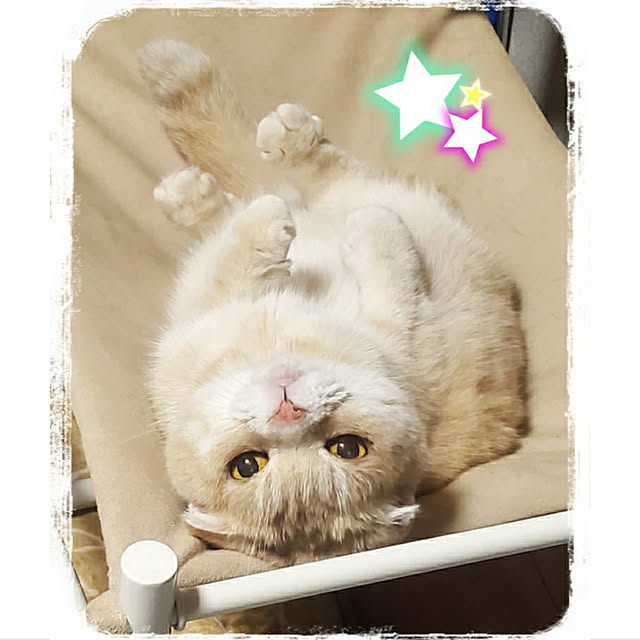 masSimonさんの実例写真