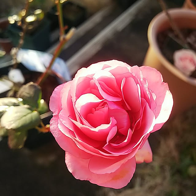 hiromimiさんの実例写真