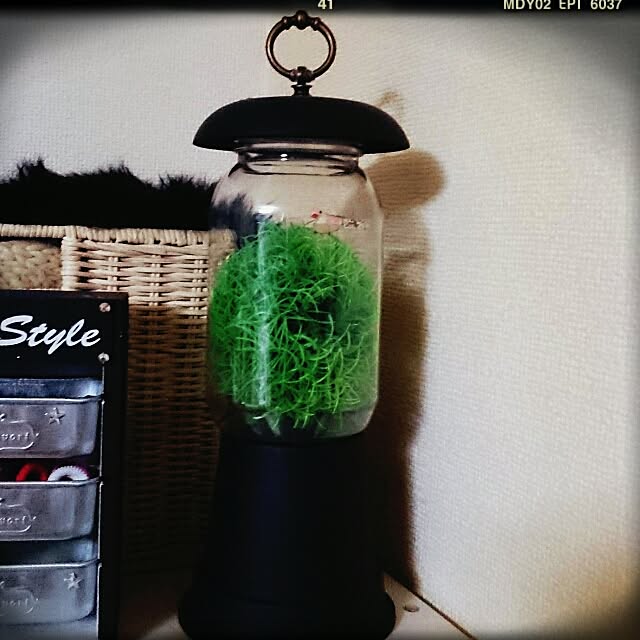 OBTERNIR88filerさんの実例写真