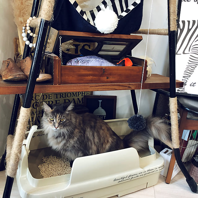 mayumiさんの実例写真