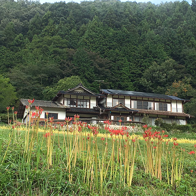 Naoさんの実例写真