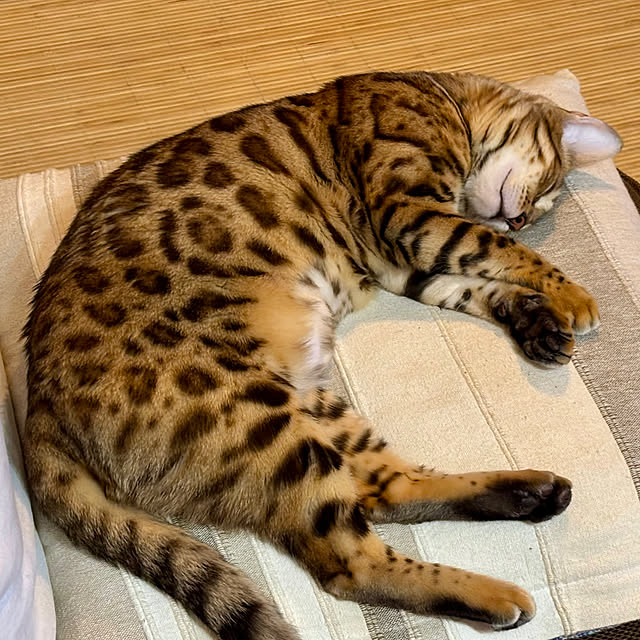 tututu0204さんの部屋