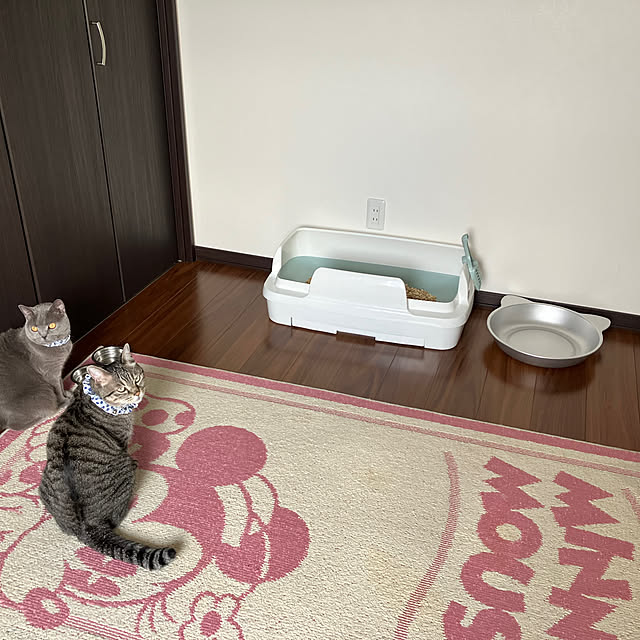 ronさんの実例写真