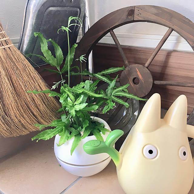 Melさんの実例写真