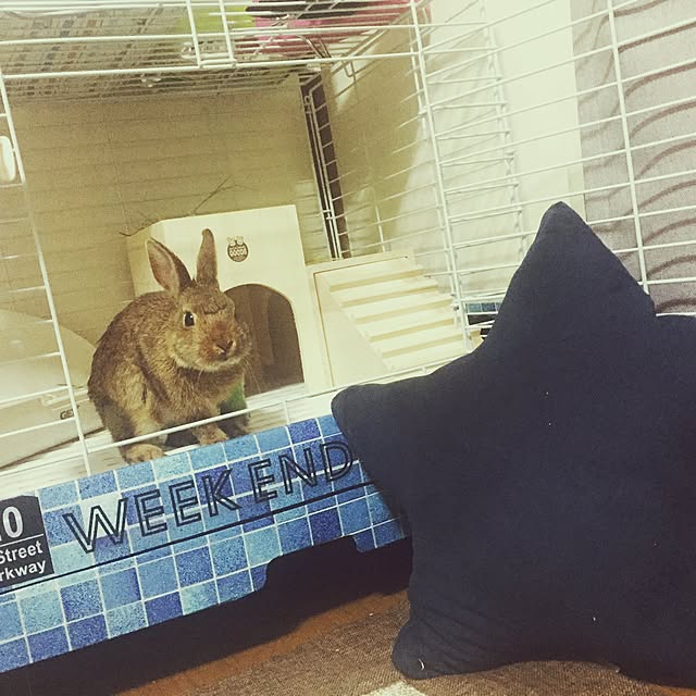 nonakaunakauさんの実例写真