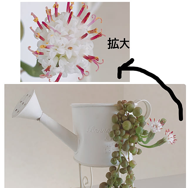 eshinobumさんの実例写真