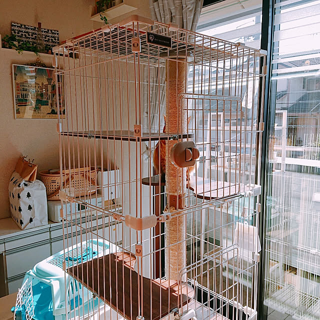 kikiさんの実例写真
