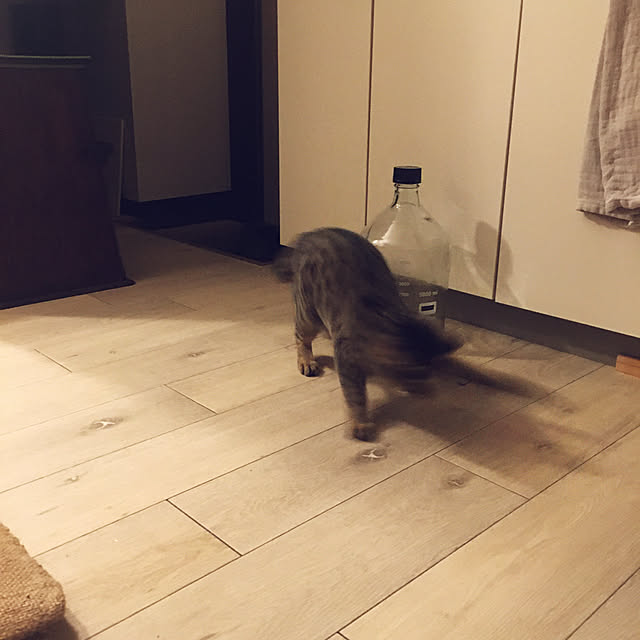 Mさんの実例写真