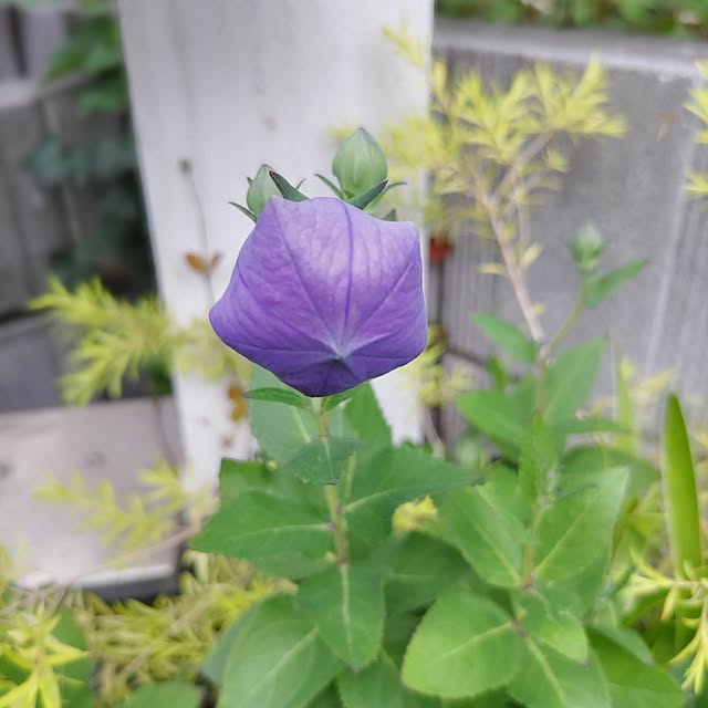 Haさんの部屋