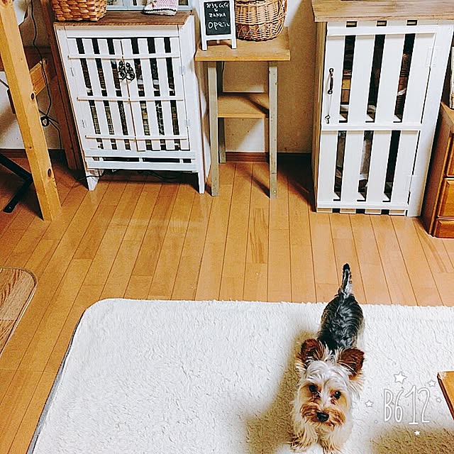 mayuoさんの実例写真