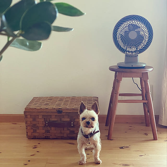 misacoさんの実例写真