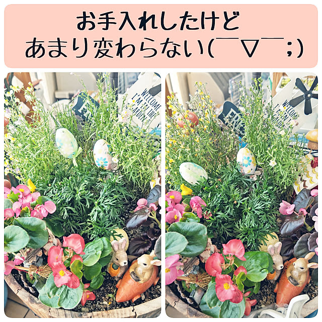 mariaさんの実例写真