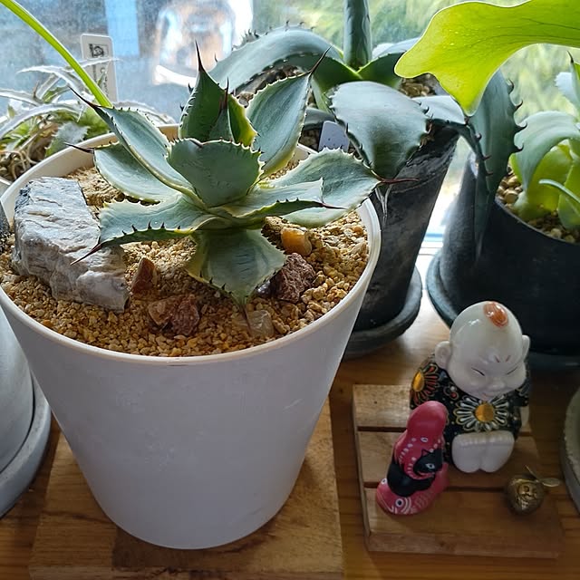 t.yumiさんの部屋