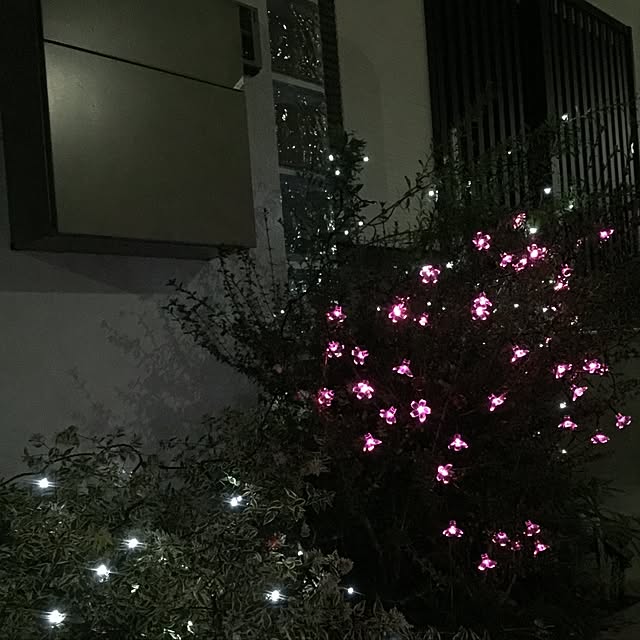 kuromarutamaさんの実例写真