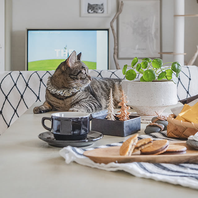oliveさんの部屋