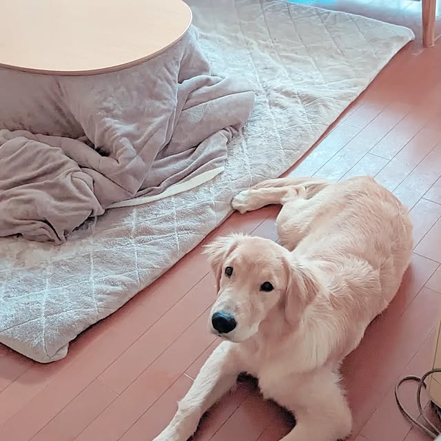 sakiさんの部屋