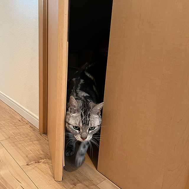 yuccoさんの部屋