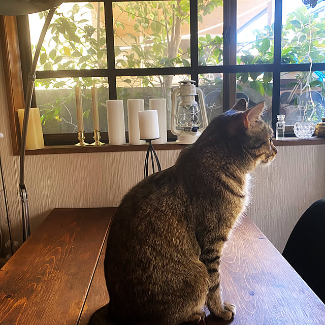 yukikoさんの実例写真