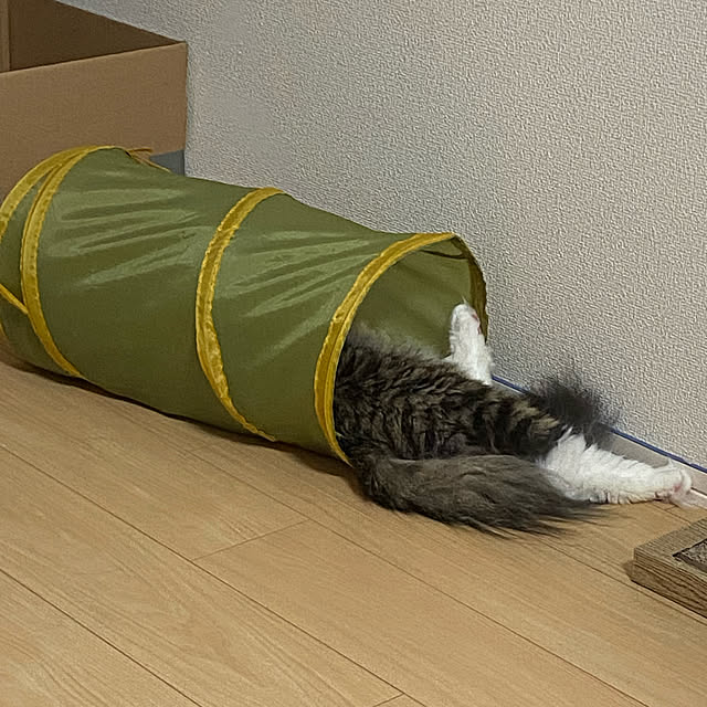 sh.0514さんの実例写真