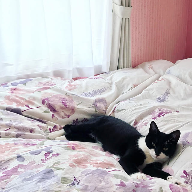 hachikuro22さんの実例写真