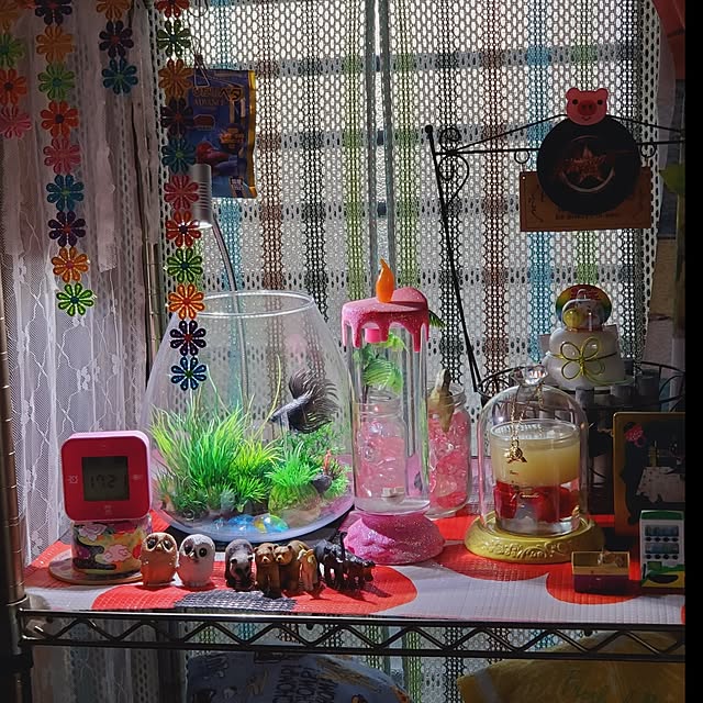 kumutanさんの実例写真