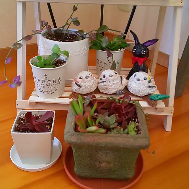 yumiyumiさんの部屋