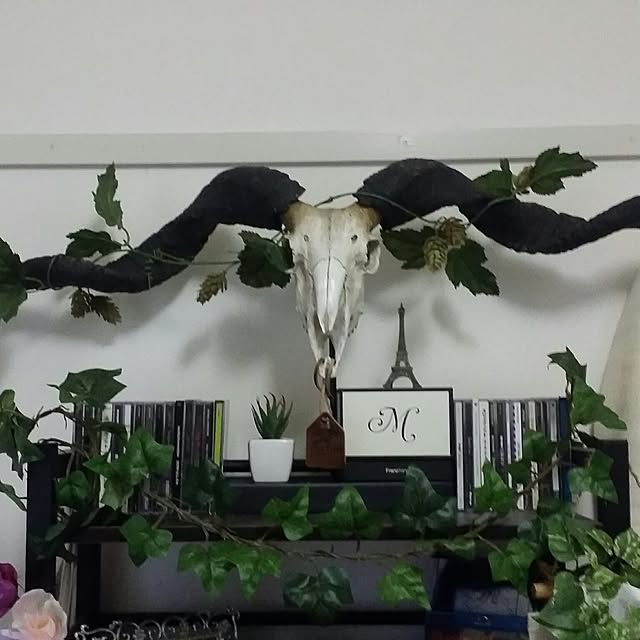 maelilikeさんの実例写真
