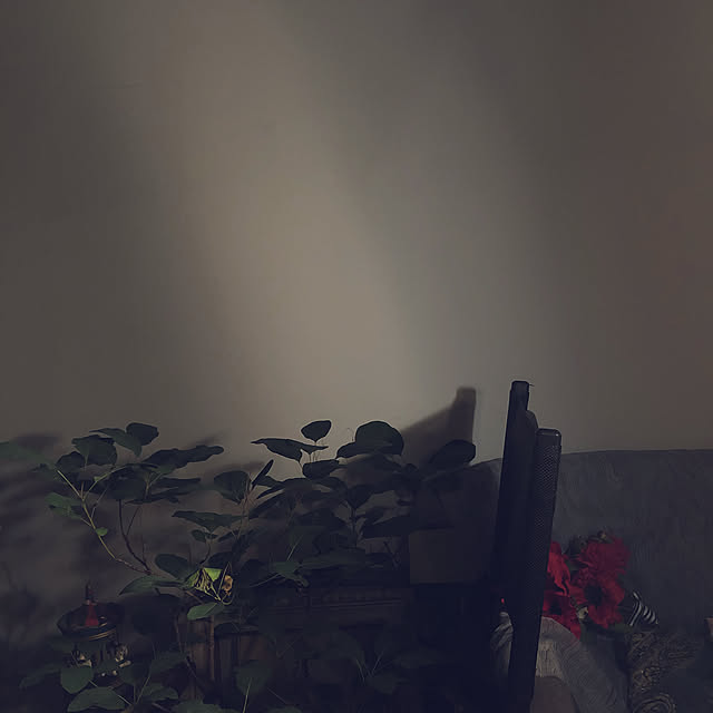 chacoさんの実例写真